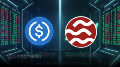 SEI blockchain adds native USDC support for faster transfers