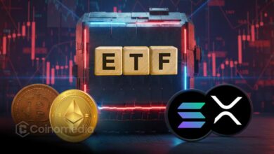 SOL and XRP ETF inflows surpass BTC and ETH outflows on Dec. 4