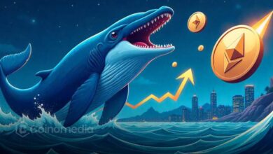 ETH whale activity on-chain data and Binance withdrawal