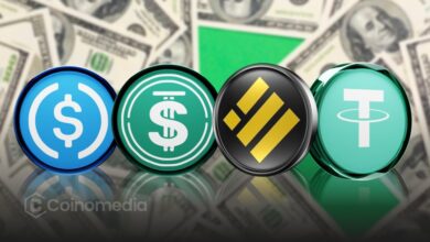 Chart showing growth in stablecoin market cap reflecting surge in crypto adoption.