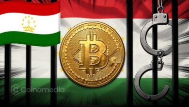 Unauthorized crypto mining crackdown in Tajikistan