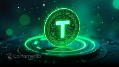 Graph showing $156B Tether small transactions in 2025