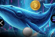 Whale bought altcoins including ETH, LINK, AAVE, UNI during dip