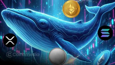 Whale bought altcoins including ETH, LINK, AAVE, UNI during dip