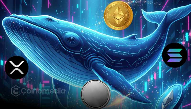 Whale bought altcoins including ETH, LINK, AAVE, UNI during dip