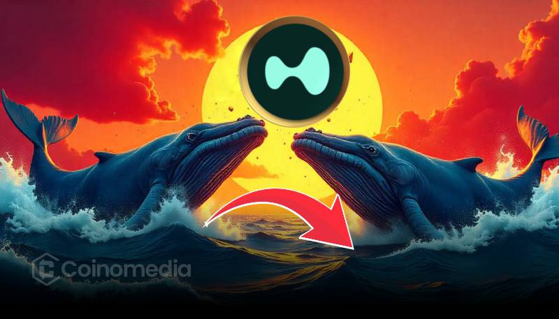 Crypto whale opens 5x long position on HYPE token worth $20M