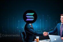 Solana DApps revenue chart showing highest blockchain earnings