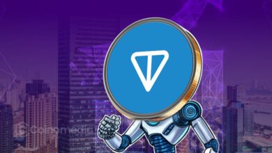 Chart showing $500M stablecoin inflows into TON Network