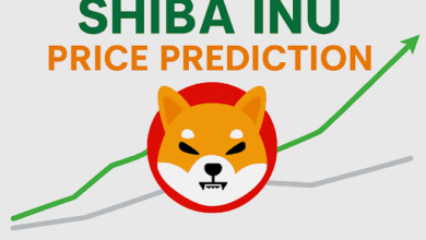 Shiba Inu Price Prediction 2025: SHIB Faces Drama As DeepSnitch AI Crosses $800K