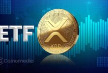 ETF clients increase XRP holdings to $939.46 million
