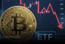 BTC-ETFs-See