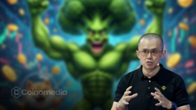 CZ warning against meme coin investment risks