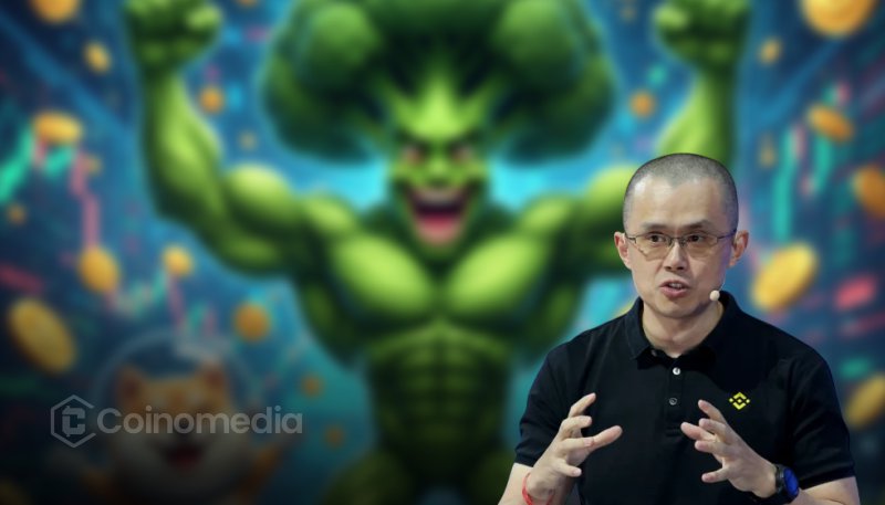 CZ warning against meme coin investment risks