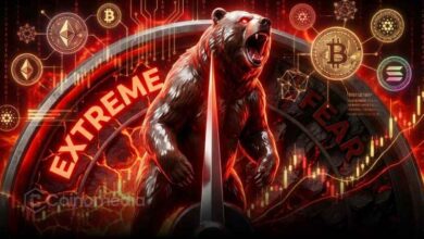 Crypto Fear and Greed Index drops to 24 showing extreme fear in market