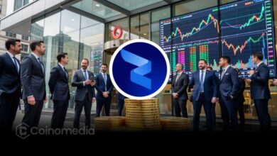 RWA Holders Surge Toward 1 Million in One Year