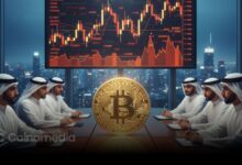 UAE Goes All In to Attract Crypto Elite