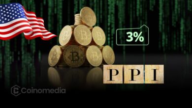 US November PPI Rises 3%, Beats Expectations