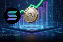 USD1 token chart showing 191.8% growth on Solana