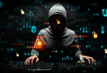 Bitfinex Whales Go Long as New Cycle Highs Hit