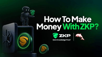 Why ZKP Is Becoming a Favorite Among Smart Crypto Investors, While Hyperliquid and Chainlink Fall Behind!