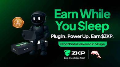Experts Predict 400x ROI for ZKP’s Early Birds While SOL & HYPE Lose Momentum