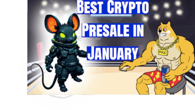 Best Crypto Presale in January: Maxi Doge and Zephyr Stand Out, but DeepSnitch AI Is the Clear Leader if You Aim for 100x Returns