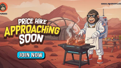 BNB News Today: BNB Inflows Sink, While APEMARS's Next Crypto to Explode Stage 5 Nears Sell-Out, Chainlink Goes Bearish