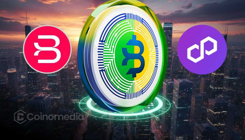 Banco Braza launches Brazilian Real stablecoin BBRL on Polygon network