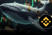 Chart showing Binance whale inflows reaching highest level since 2024, highlighting increased large investor deposits.