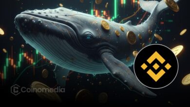 Chart showing Whale Inflow Ratio surge on Binance during crypto market correction