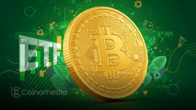 Bitcoin ETFs chart showing $145M net inflow trend