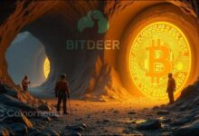 Bitdeer Bitcoin Exit showing Bitdeer logo and Bitcoin coins after selling 1,132.9 BTC.