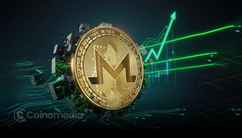 Chart showing steady Monero transaction activity in 2024–2025 despite exchange delistings.