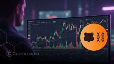 Trader generating Hyperliquid trading profit by shorting $BERA and holding a large $HYPE position.