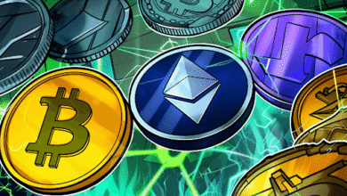 Best Crypto Opportunities for 2026 Bull Run