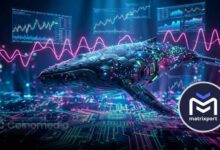 Matrixport Whale Doubles Down With 20x BTC Long