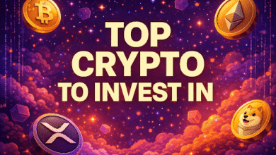 Investors Believe This $0.04 Altcoin Is Set for a 500% Run, Experts Explain