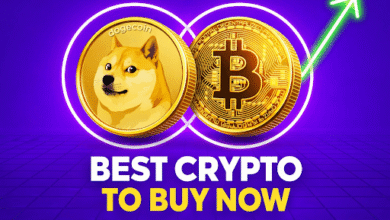 Could This Cheap Crypto Reach $0.50 After Launch? Analysts Break Down the 12x Growth Narrative