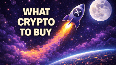 The Only Cheap Crypto Under $0.05 Showing 3x Growth Since Q1 2025, Reports Show