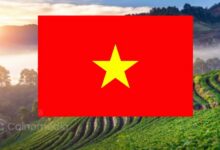 Vietnam crypto exchanges launch illustration showing digital coins, trading charts, and Vietnam flag elements