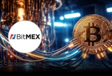 BitMEX canary fund concept showing Bitcoin protection against quantum threat