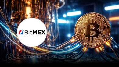 BitMEX canary fund concept showing Bitcoin protection against quantum threat