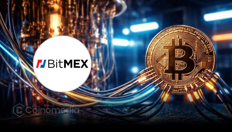 BitMEX Canary Fund Offers Bitcoin Quantum Backup