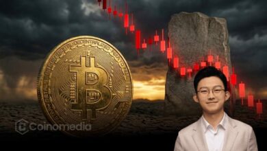 Bitcoin bottom market chart with falling sentiment and recovery outlook