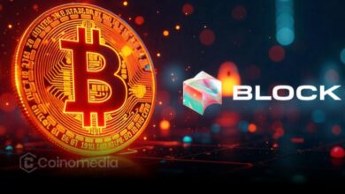 Block Proof of Reserves Bitcoin holdings verification report showing BTC balance