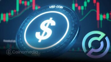 USDC on Solana showing Circle minting $500 million and total supply reaching $38 billion in 2026.