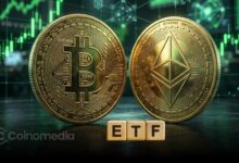 ETF Inflows Rise as BTC and ETH Gain