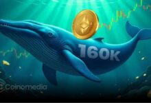 Ethereum Whale Profit Turns $3K Into $22M