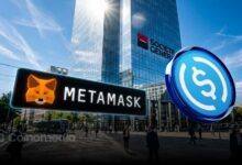 USD CoinVertible MetaMask integration showing stablecoin in crypto wallet