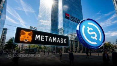 USD CoinVertible MetaMask integration showing stablecoin in crypto wallet